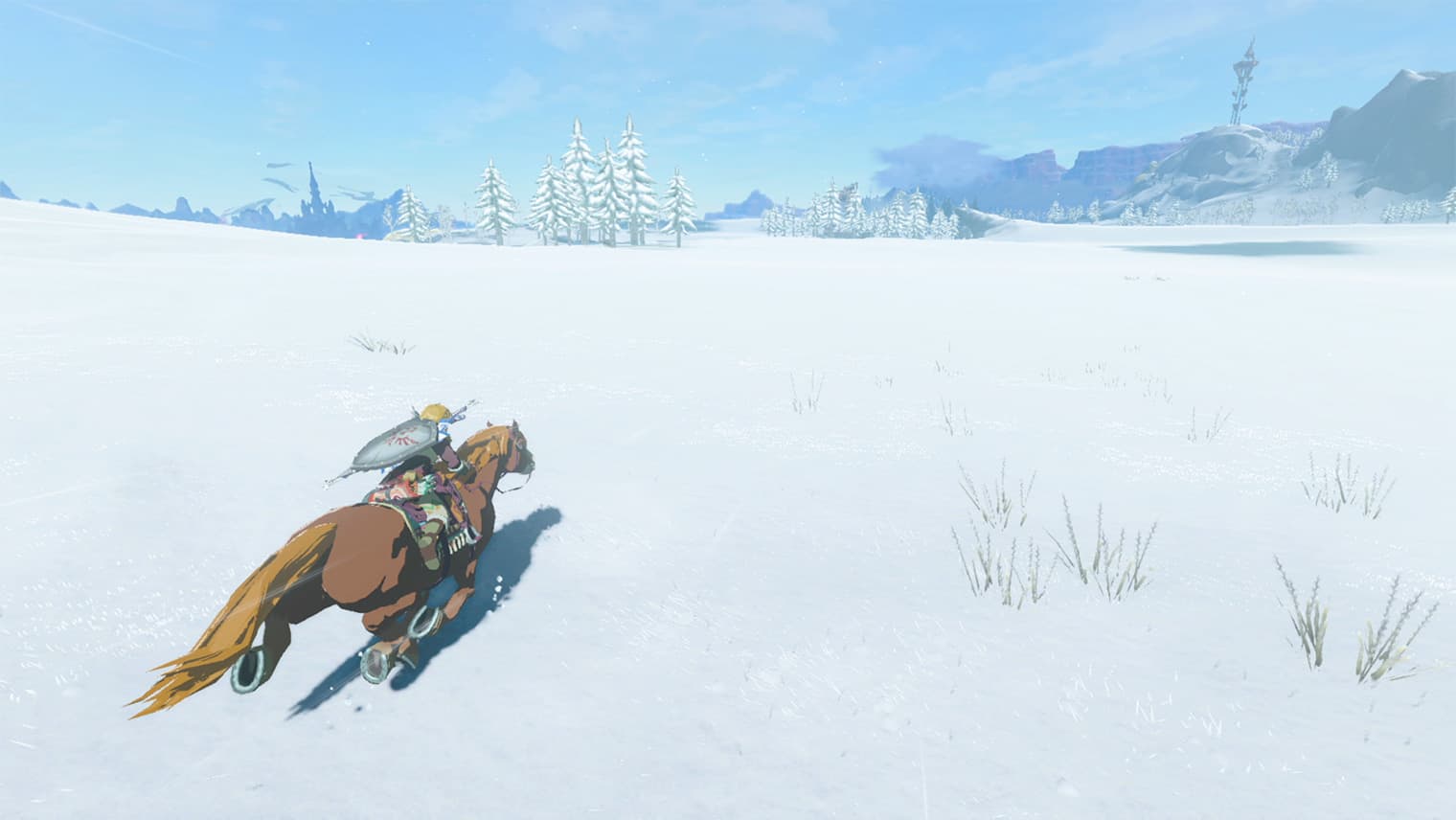 ENJOY THE SNOWY SCENERY