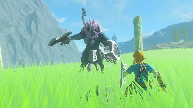 Be careful with Lynels that have different hair colour