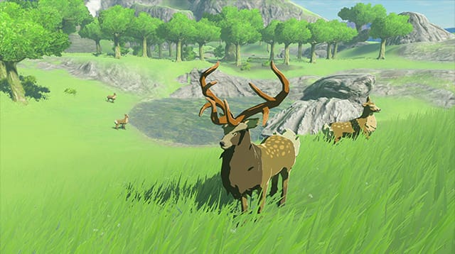Run around the great land with Mountain Bucks