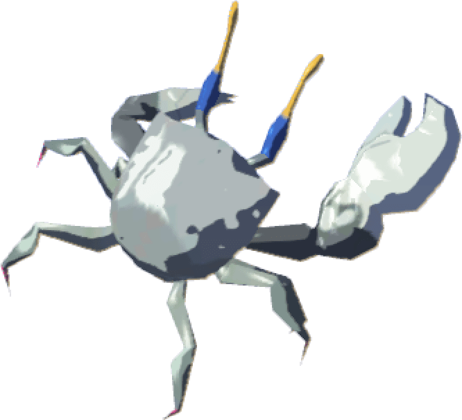 Bright-Eyed Crab