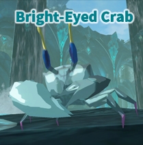 Bright-Eyed Crab